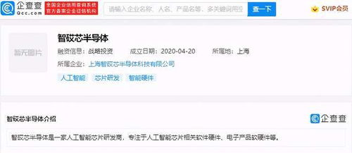 數(shù)據(jù)處理與存儲支持服務 數(shù)字化時代的核心保障